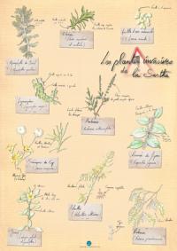 Affiche CPIE Les plantes invasives