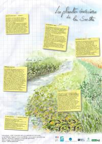 Affiche CPIE Les plantes invasives